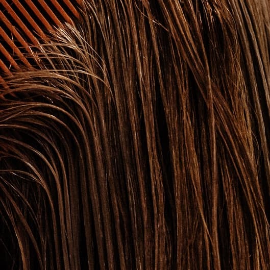 Luxe Locks Blowout Package at Salone Trè in Chicago, IL